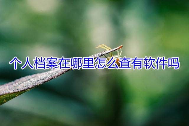 个人档案在哪里怎么查有软件吗