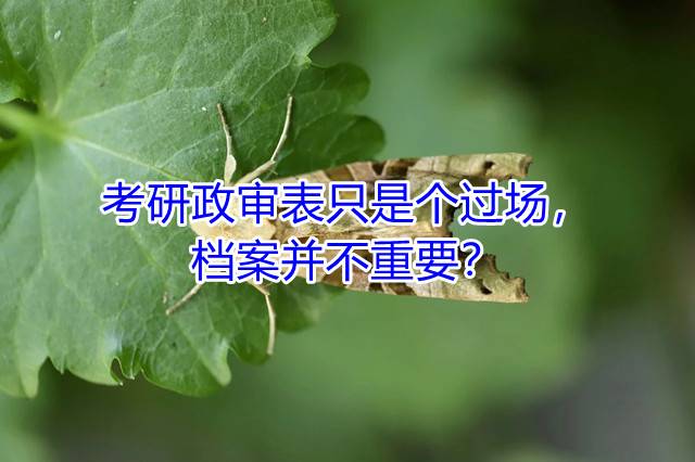 考研政审表只是个过场，档案并不重要？