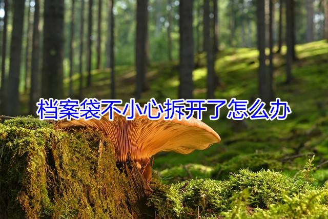 档案袋不小心拆开了怎么办