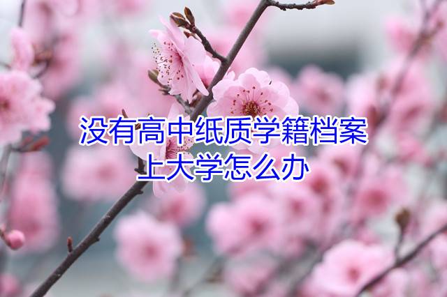 没有高中纸质学籍档案上大学怎么办
