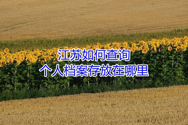 江苏如何查询个人档案存放在哪里