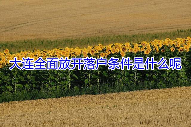 大连全面放开落户条件是什么呢