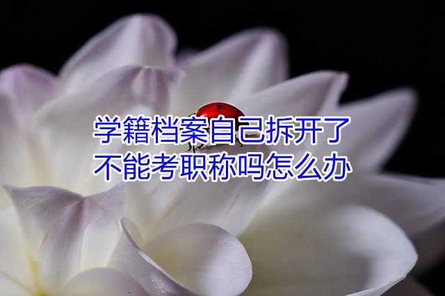学籍档案自己拆开了不能考职称吗怎么办
