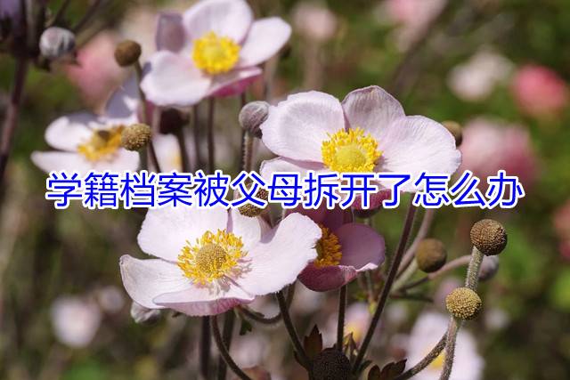学籍档案被父母拆开了怎么办
