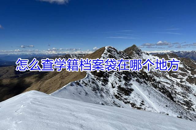 怎么查学籍档案袋在哪个地方