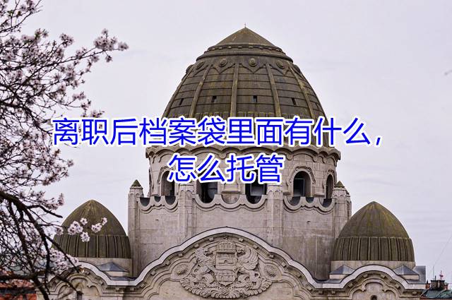 离职后档案袋里面有什么，怎么托管
