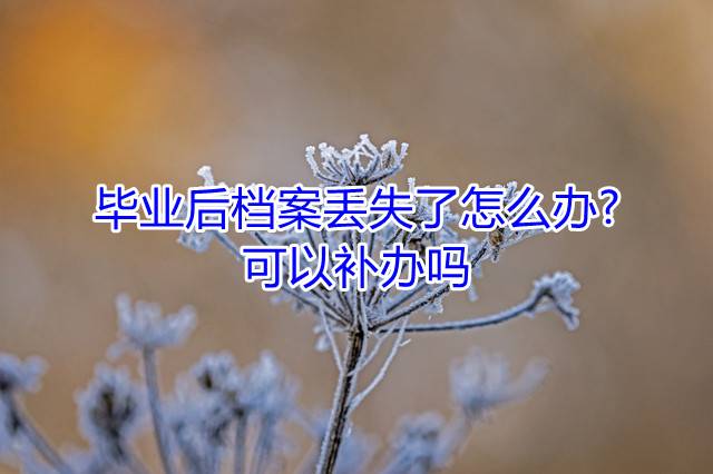 毕业后档案丢失了怎么办可以补办吗