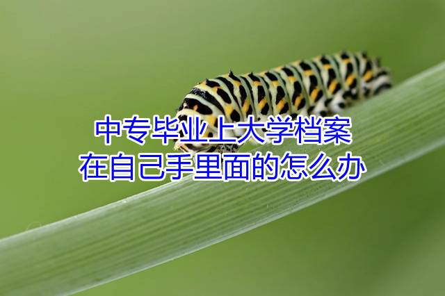 中专毕业上大学档案在自己手里面的怎么办