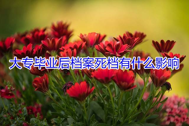 大专毕业后档案死档有什么影响