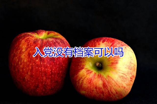 入党没有档案可以吗