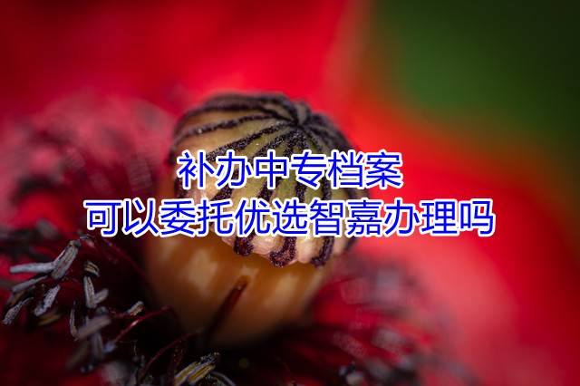 补办中专档案可以委托优选智嘉办理吗