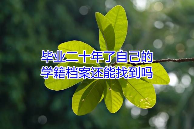 毕业二十年了自己的学籍档案还能找到吗