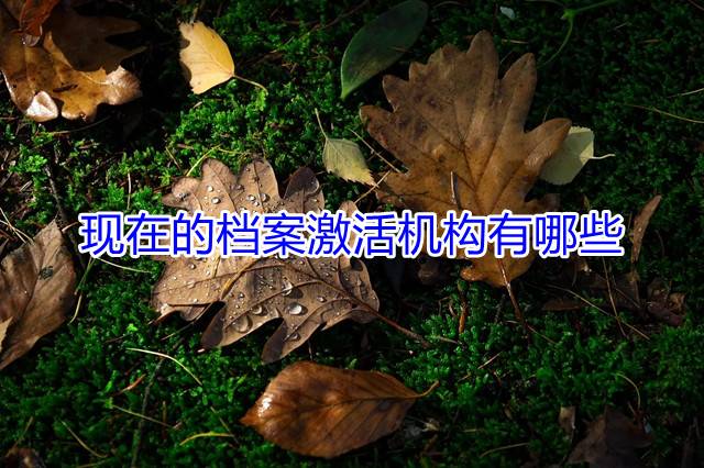 现在的档案激活机构有哪些