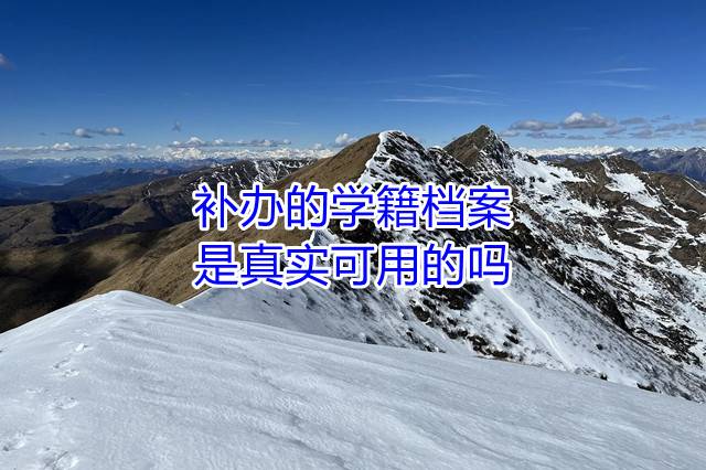 补办的学籍档案是是真实可用的吗