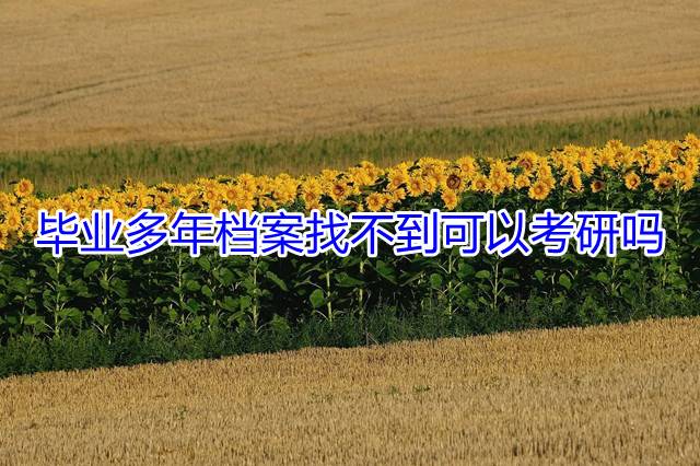 毕业多年档案找不到可以考研吗