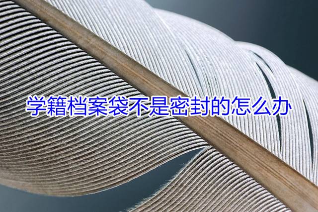 学籍档案袋不是密封的怎么办