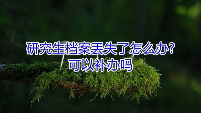 研究生档案丢失了怎么办?可以补办吗
