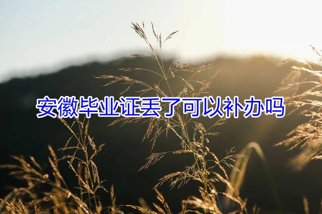 安徽毕业证丢了可以补办吗
