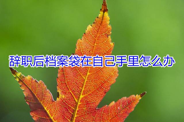 辞职后档案袋在自己手里怎么办