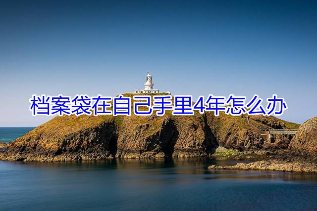 档案袋在自己手里4年怎么办