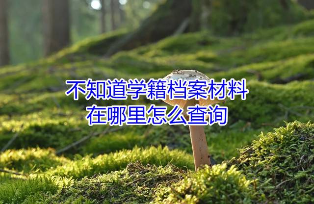 不知道学籍档案材料在哪里怎么查询