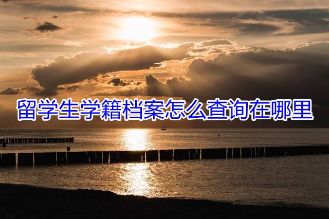 留学生学籍档案怎么查询在哪里