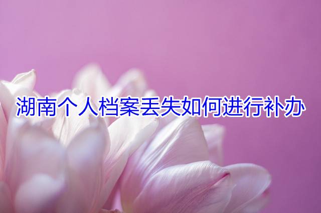 湖南个人档案丢失如何进行补办