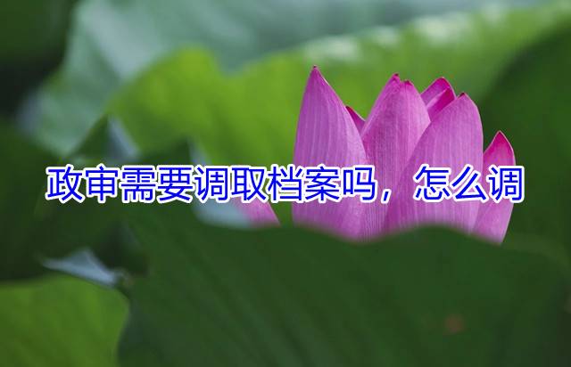 政审需要调取档案吗，怎么调