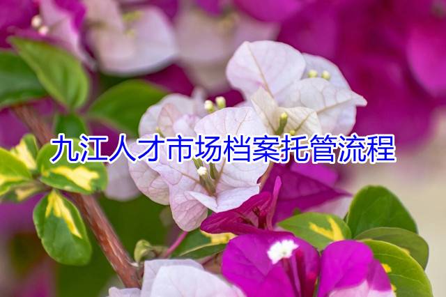 九江人才市场档案托管流程