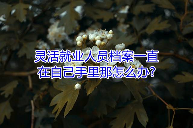 灵活就业人员档案一直在自己手里那怎么办
