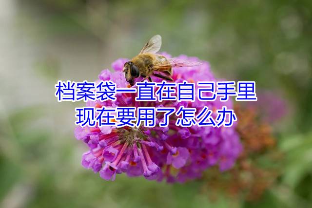 档案袋一直在自己手里现在要用了怎么办