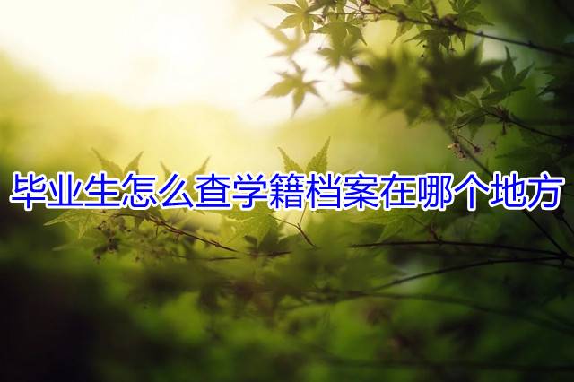 毕业生怎么查学籍档案在哪个地方