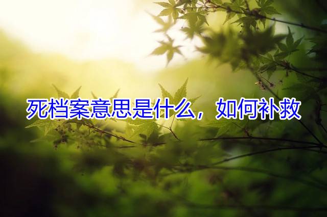 死档案意思是什么，如何补救