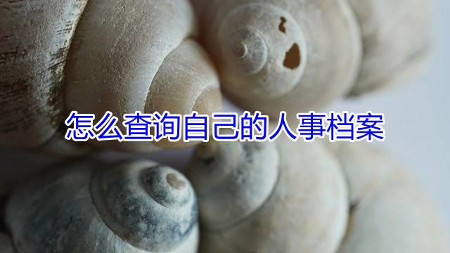 怎么查询自己的人事档案