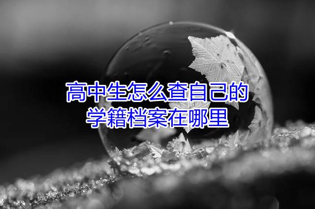 高中生怎么查自己的学籍档案在哪里
