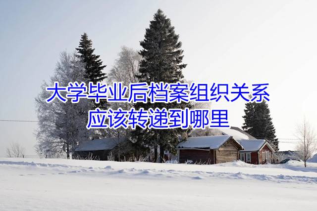 大学毕业后档案组织关系应该转递到哪里
