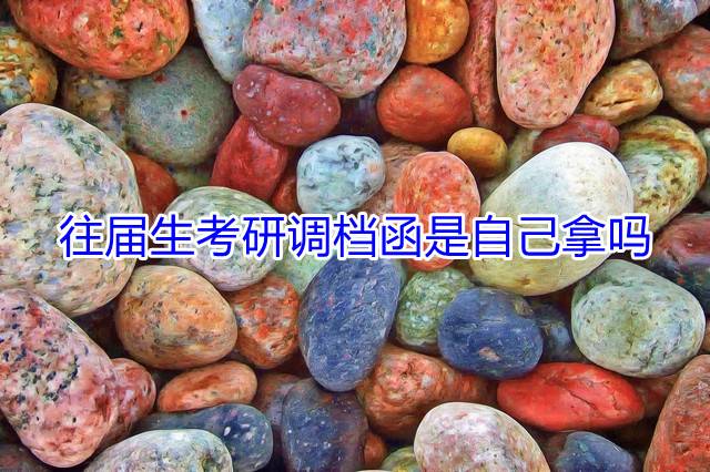 往届生考研调档函是自己拿吗