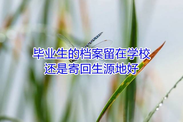 毕业生的档案留在学校还是寄回生源地好
