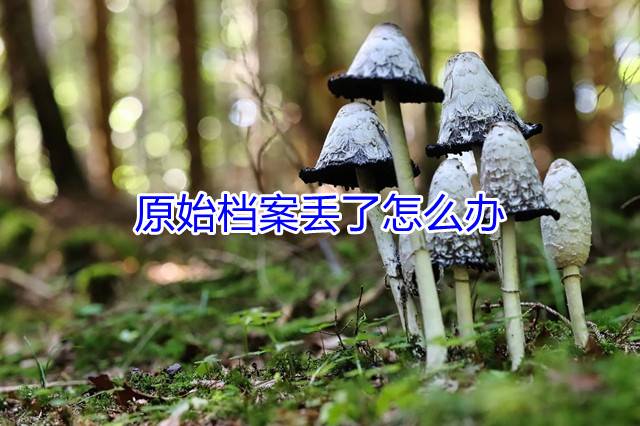 原始档案丢了怎么办