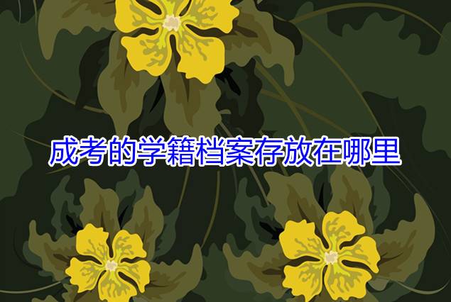 成考的学籍档案存放在哪里