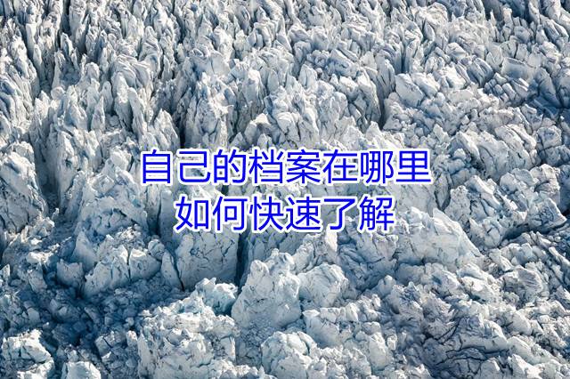自己的档案在哪里，如何快速了解