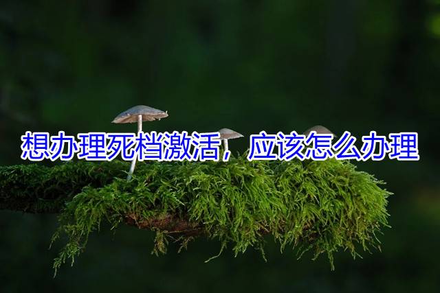 想办理死档激活，应该怎么办理
