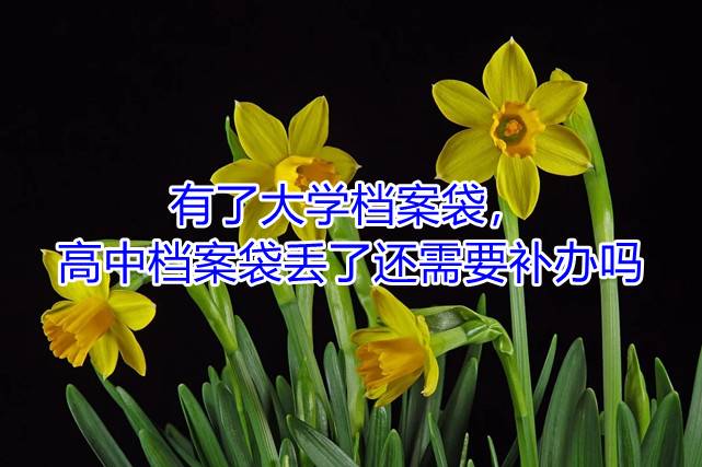 有了大学档案袋，高中档案袋丢了还需要补办吗