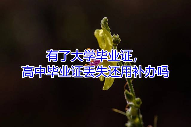 有了大学毕业证，高中毕业证丢失还用补办吗