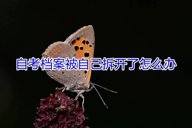 自考档案被自己拆开了怎么办