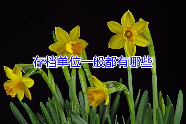 存档单位一般都有哪些