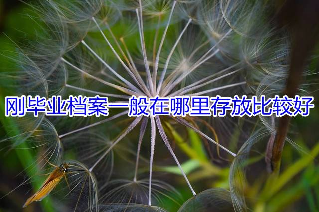 刚毕业档案一般在哪里存放比较好