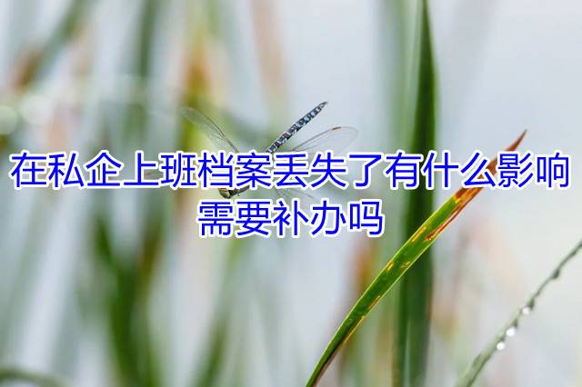 在私企上班档案丢失了有什么影响，需要补办吗