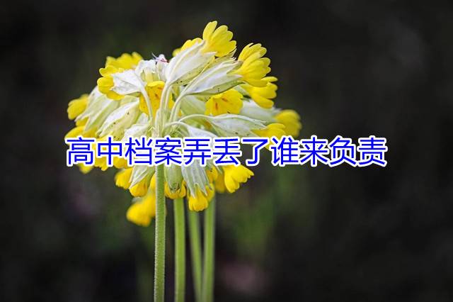 高中档案弄丢了谁来负责