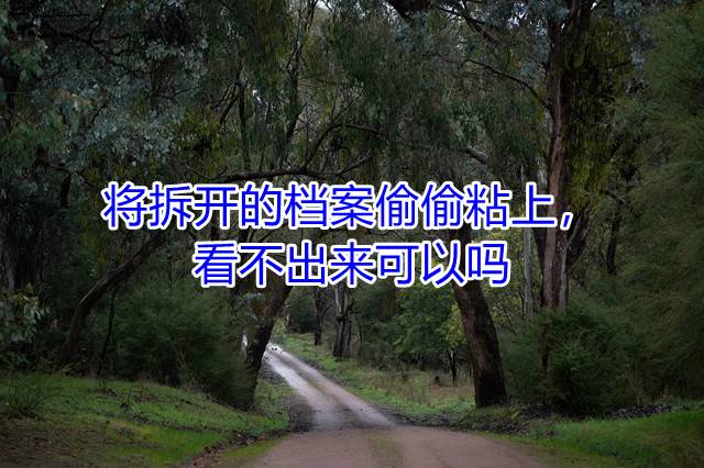 将拆开的档案偷偷粘上，看不出来可以吗